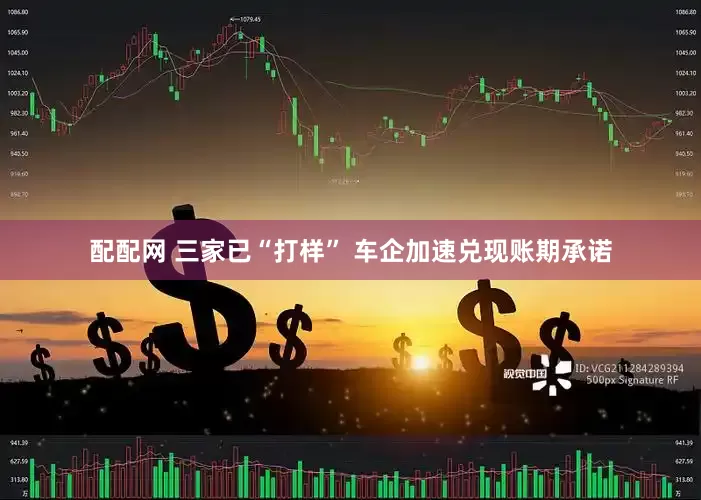 配配网 三家已“打样” 车企加速兑现账期承诺