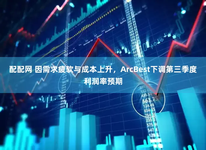 配配网 因需求疲软与成本上升，ArcBest下调第三季度利润率预期