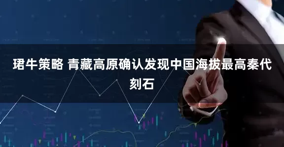 珺牛策略 青藏高原确认发现中国海拔最高秦代刻石