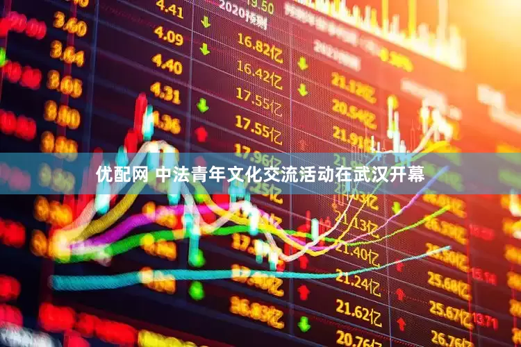 优配网 中法青年文化交流活动在武汉开幕