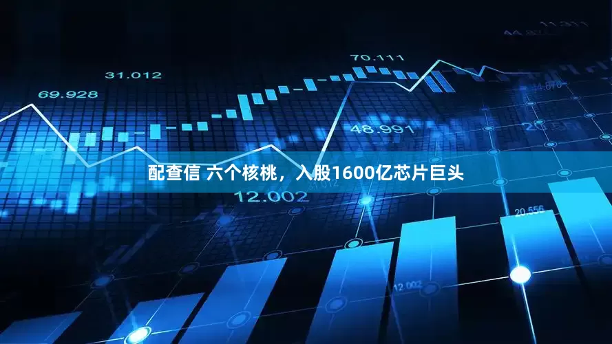 配查信 六个核桃，入股1600亿芯片巨头